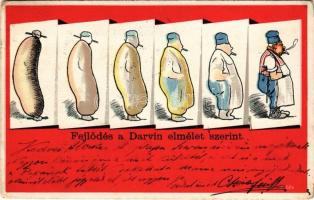 1900 Fejlődés a Darwin elmélet szerint / Darwins evolution theory, humour, sausage - butcher (kopott sarkak / worn corners)