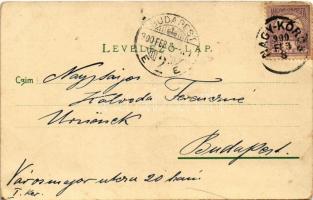 1900 Fejlődés a Darwin elmélet szerint / Darwin's evolution theory, humour, sausage - butcher (...