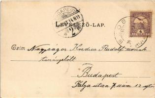 1900 Szob, Római katolikus templom, Lujza leánynevelő intézet. Hegedüs Lajos kiadása (EK)