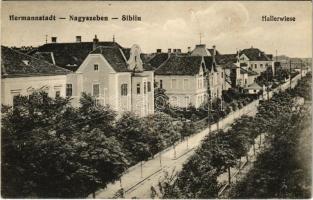 1915 Nagyszeben, Hermannstadt, Sibiu; Hallerwiese / Haller rét / villas