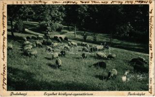 Budakeszi, Erzsébet királyné szanatórium, park, legelő juhnyáj (Rb)