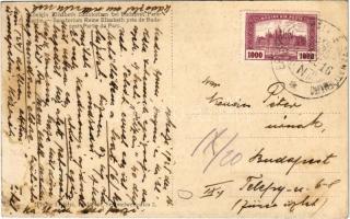 Budakeszi, Erzsébet királyné szanatórium, park, legelő juhnyáj (Rb)