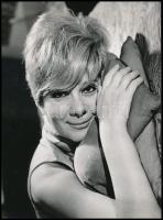 cca 1968 Ruttkai Éva (1927-1986) színésznőről készített művészfotó, Kotnyek Antal felvétele, hátoldalt feliratozva, jó állapotban, 18×24 cm