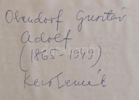 Obendorf Gusztáv Adolf (1865-?): Kecskemét, Ferencesek kertje. Akvarell, ceruza, papír, jelzett, üve...
