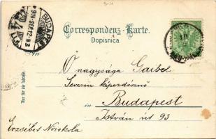 1904 Sarajevo, Türkische Frauen und Mädchen bei der Ausfahrt / Turkish women and girls trravelling +...