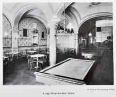 Petőfi-album. Adatok, okmányok és képek Petőfi Sándor diadalútjáról. A "Pesti Napló" előfi...