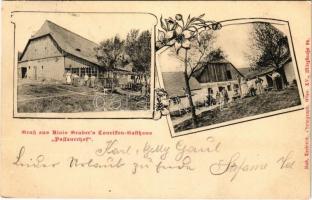 1903 Passauerhof, Gruss aus Alvis Grubers Touristen-Gasthaus Passauerhof / tourist house, inn. Rud. Trebitsch Photograph (Wien) Art Nouveau, floral