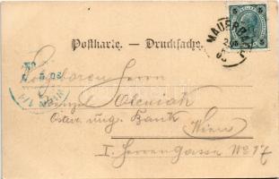 1903 Passauerhof, Gruss aus Alvis Gruber's Touristen-Gasthaus "Passauerhof" / tourist...