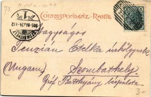 1905 Knittelfeld (Steiermark), general view, bridge. Verlag M. Helff (EK)