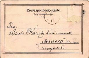 1897 (Vorläufer!) Jaroslaw, Jaroslau, Yareslov; Gedeckte San-Brücke / Kryty Most / bridge. Herman Ak...