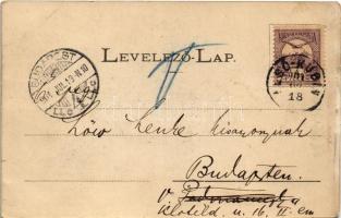 1901 Kralován, Kralovany; Árvai vasút alagútja, hajtány, vonat. Sochán P. 111. / railway tunnel, han...