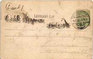 1907 Besztercebánya, Banská Bystrica; Urpin-hegy, híd. Ivánszky Elek kiadása / mountain, bridge (kop...