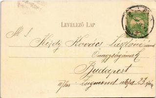 1904 Léva, Levice; várrom. Nyitrai és Társa kiadása / Levicky hrad / castle ruins (EB)