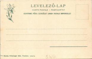 Ótátrafüred, Altschmecks, Stary Smokovec (Tátra, Magas-Tátra, Vysoké Tatry); Sétatér, Pásztory János...