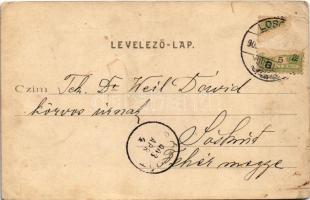 1903 Losonc, Lucenec; Takarék és hitelbank, Fischer S. üzlete. Kármán Zsigmond kiadása / bank, shops...