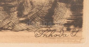 Prihoda István (1891-1956): Az országos Testnevelési tanács emléklapja a rézkarc 51x 40 cm Jelzett a...