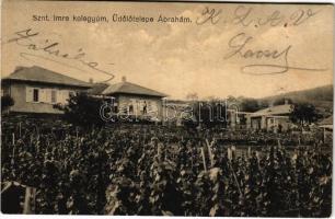 1932 Ábrahámhegy (Tapolca), Szent Imre kollégium üdülőtelepe, szőlőhegy