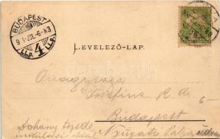 1904 Léva, Levice; várrom. Schulcz Ignác kiadása / Levicky hrad / castle ruins (EK)