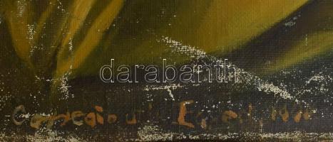 Egyed Antal (?-?): Paprikás hölgy, 1945. Olaj, vászon, jelzett. Vakráma nélkül. Kissé
sérült. Felte...