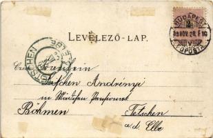 1898 (Vorläufer) Budapest, Deák Ferenc szobor, látkép, címer. Schneider & Lux Art Nouveau, flora...