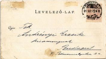 1899 (Vorläufer) Budapest VIII. Kálvin tér, villamos, szökőkút (szakadások / tears)