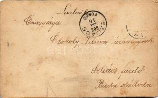 1902 Hand-drawn and hand-painted flower art postcard (fa)