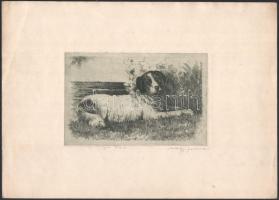 Nagy Ferenc (1892-1970): Bernáthegyi kutya, 1933. Rézkarc, papír, jelzett, 12x18 cm.