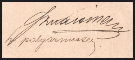 1895 Kolozsvár, Szvacsina Géza (1849-1917) kolozsvári polgármester aláírása okmányon