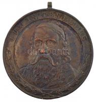 1888. "Lux in tenebris / Comenius T Est - Budapest Kel 1888" Br, fülezett szabadkőműves pá...