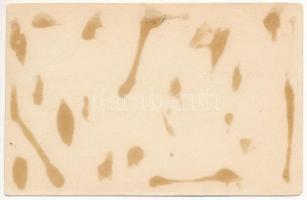 Cserepes, Gömörcserepes, Pondelok, Hrnciarska Ves; Biess Elemér kastélya / castle (b)