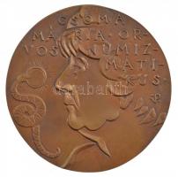 Palotás József (1947- ) DN Csoma Mária orvos numizmatikus egyoldalas, öntött bronz (98mm) T:1-