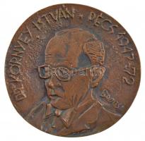 Dr. Bodosi Mihály (1909-2005) 1977. Dr. Környey István - Pécs 1942-72 egyoldalas, öntött bronz emlékérem (100mm) T:1,1- CS 352.