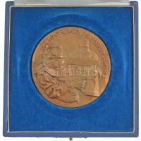 Rácz Edit (1936-) 1973. "Söripari emlékplakett / 1854... és Kőbányán megindult a nagyüzemi serf...