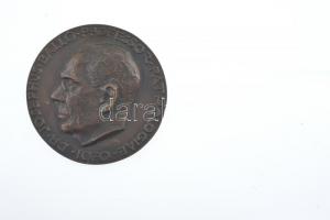 DN "DR. JOSEPHUS BALLÓ PROFESSOR PATHOLOGIAE" egyoldalas, öntött bronz plakett (77mm) T:1-