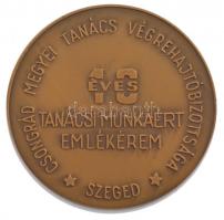 ~1980. Csongrád Megyei Tanács Végrehajtóbizottsága, Szeged - 10 éves tanácsi munkáért kétoldalas bronz emlékérem (70mm) T:1,1-
