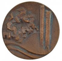 Laborcz Ferenc (1908-1971) 1970. 1945-1970 emlékére XVII. ker kétoldalas, öntött bronz emlékérem (79mm) T:1-