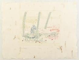 Vetlényi Zsolt (1967-): Tavaszdombok. Színes rézkarc, merített papír, jelzett, számozott: 72/100, 19,5×22,5 cm