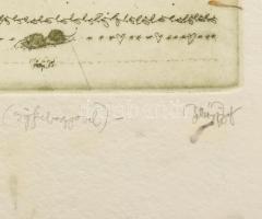 Vetlényi Zsolt (1967-): Lilion és almafa I. (csipkebogyóval). Színes rézkarc, merített papír, jelzet...