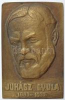 DN Juhász Gyula 1883-1937 egyoldalas, öntött bronz plakett (131x84mm) T:1-