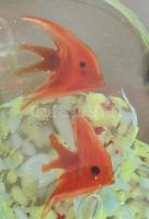 Akvárium üveg levélnehezék halakkal, kis cmopásnyomokkal, m: