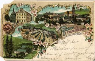 1898 (Vorläufer) Ceská Trebová, Böhmisch Trübau; Radnice, Mest. Skola, Lázne Hory, Nádrazí / town hall, school, spa, bath, railway station. Art Nouveau, floral, litho (b)