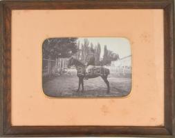cca 1910 Lovas katona az aradi várnál, fotó paszpartuban, üvegezett keretben, 17×22 cm