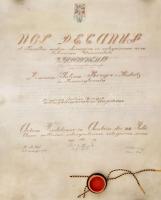 1882 Pergamen gyógyszerészmesteri oklevél függőpecséttel, függőpecsét teteje hiányzik