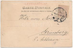 1899 (Vorläufer) Boldog Újévet! Kanitz C. és Fiai / New Year greeting art postcard with pigs (ázott ...