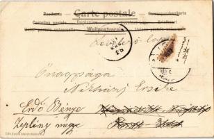 1901 Art Nouveau lady. Edit. Emile Storch Vienne. litho (EK)