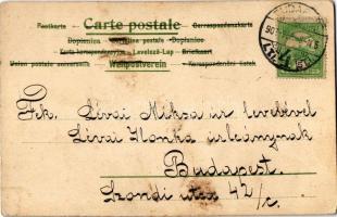 1907 Gypsy lady. Floral, litho (EK)