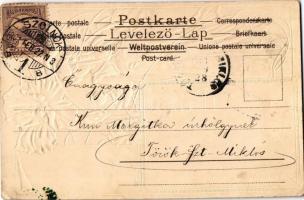 1901 Art Nouveau lady. Edgar Schmidt Serie 8072. Emb. litho (lyuk / pinhole)