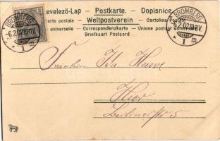 1902 Nun kennst Du den Frühling... Serie "Liebesträume" Art Nouveau, floral, litho (fl)