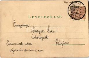 1899 (Vorläufer) Veni-Vidi-Vici / Art Nouveau lady with hearts. Floral, litho (r)