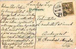 1907 Ich bin eine Wittwe / Art Nouveau lady with hearts. Floral, litho (EB)